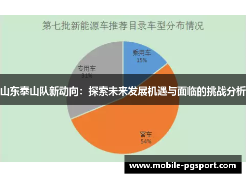 山东泰山队新动向：探索未来发展机遇与面临的挑战分析