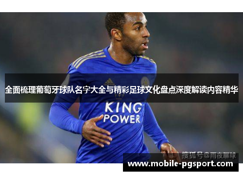 全面梳理葡萄牙球队名字大全与精彩足球文化盘点深度解读内容精华