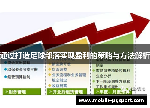 通过打造足球部落实现盈利的策略与方法解析 通过打造足球部落实现盈利的策略与方法解析