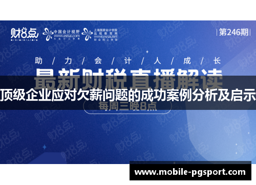 顶级企业应对欠薪问题的成功案例分析及启示