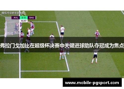 弗拉门戈加比在超级杯决赛中关键进球助队夺冠成为焦点